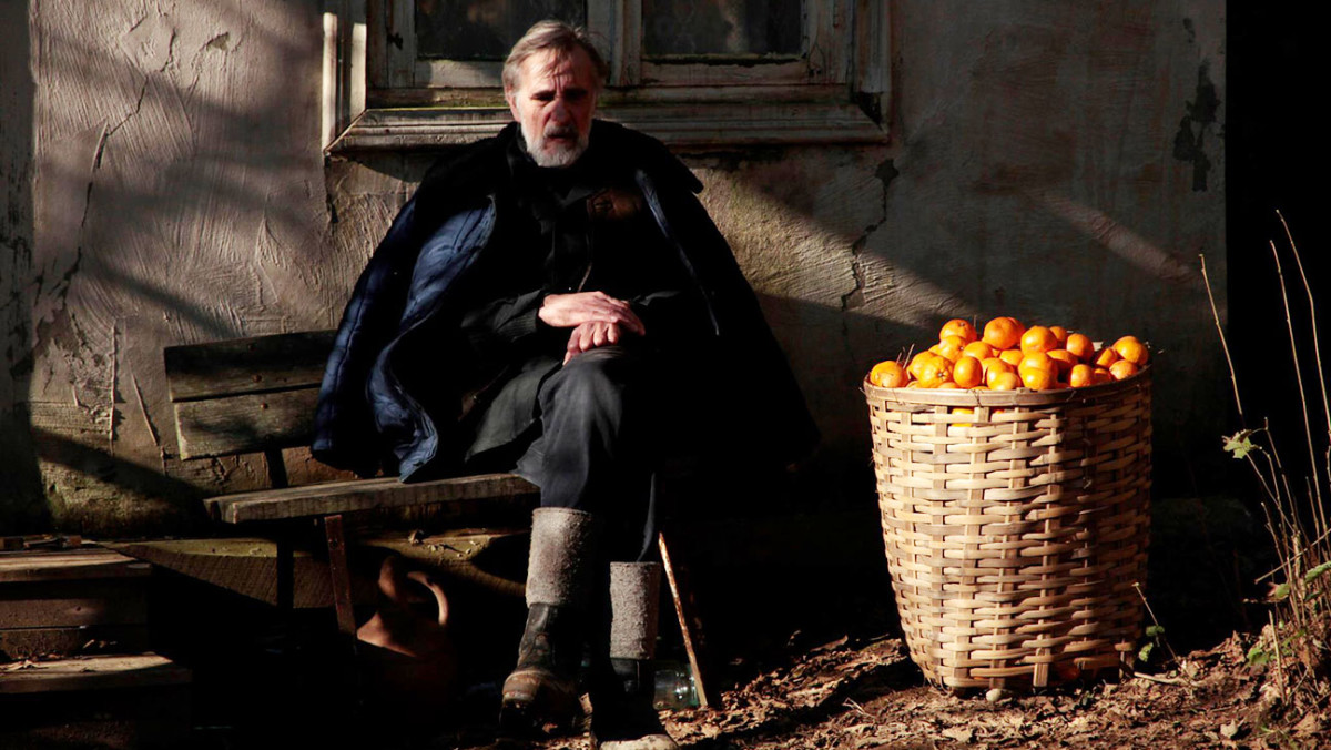 Film Mandarinky (Tangerines, Mandariinid) je gruzíské válečné drama z roku 2013